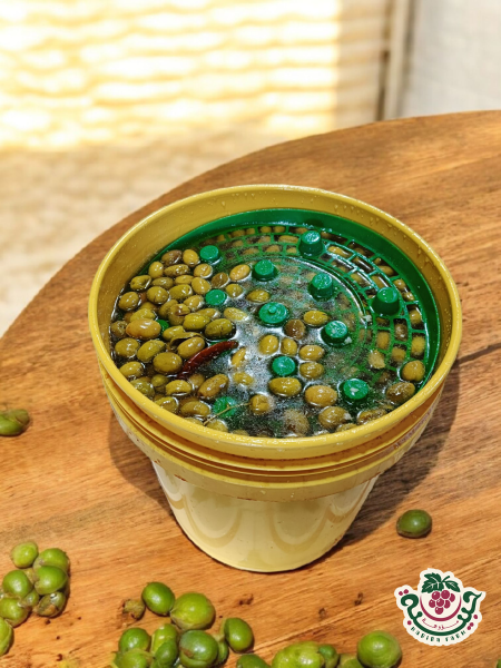 زيتون نبالي سطل